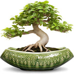 Bonsai Planter 18 Inch by Teagas