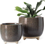 LE TAUCI Ceramic Plant Pots, 5.1 + 6.4 Inch Footed Pots by LETAUCI