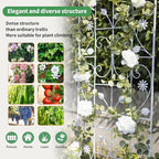 Trellis for Climbing Plants Outdoor, （2 Pack 70.8x19.6-inch）, Generic Metal - Image 3