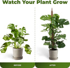 2 Pack 28 Inch Bendable Moss Pole Monstera Plant Support Stakes - Image 5