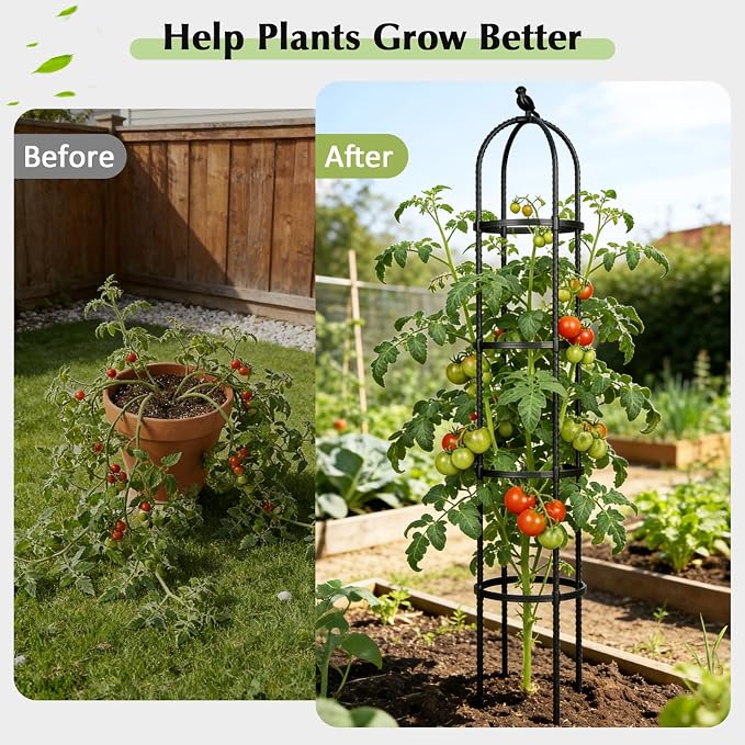 Garden Obelisk Trellis for Climbing Plants Outdoor, 6.2 FT Tomato Cage - Image 6