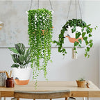GARDIFE Hanging Planter, 10 inch Hanging planters - Image 6