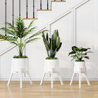 Adjustable Plant Stands Set of 2, Metal Small Plant Holder, Heavy Duty Stable - Image 5