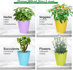 Herb Garden Planter Indoor Kit – 6 Metal Pots - Image 7