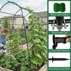 7ft Garden Arch Trellis for Climbing Plants Outdoor-Heavy Duty Metal Cucumber - Image 5