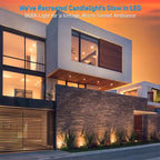 LEONLITE Dia. 4 Inch Well Lights Landscape LED In Ground, Grated Top, 5 Color - Image 2