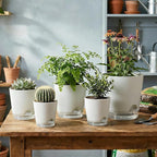 GARDIFE 2026 Upgraded Self Watering Plant Pots - Image 6