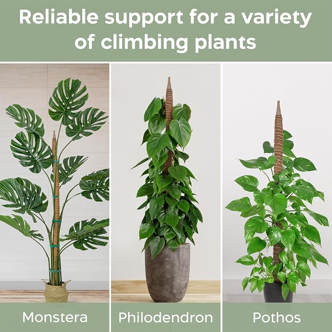 K-Brands 48'' Bendable Moss Pole Monstera Plant Support - Image 4