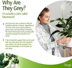 Stackable Plant Support Stakes, Indoor & Outdoor Houseplant Stem Support - Image 5