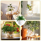 Sun Catcher Plant Hanger with Beads and Glass Crystal Beaded Plant Accessories - Image 5