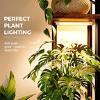Bamworld Plant Stand with Grow Light - Image 2