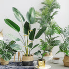 succulentlovers 4PCS Indoor Plant Support Stakes, 12.6 Inch Metal Monstera - Image 3