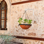 Plant Hanger Indoor/Outdoor 10 inch Metal Wall Plant Hook Decorative Plant - Image 5
