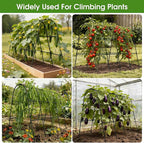 Cucumber Trellis for Raised Bed, U-Shape Garden Trellis for Climbing Plants - Image 7