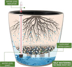 Dexceder 13x12 Self Watering Planter - Image 2