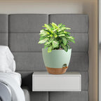 12 inch Large Self Watering Pots, Flower Plant Pots - Image 7