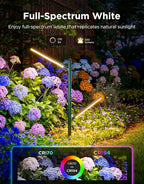 Govee Outdoor Garden Lights 2 Pack, RGBWWIC Smart LED Pathway Lights - Image 3