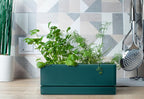 D'vine Dev 12 Inch Window Box Planter, Rectangle Plastic Herb Planter - Image 3