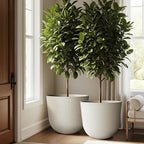 WORTH Garden Round Large Planter Pot Set of 2-17.5" Dia x 15.5" H - Image 8