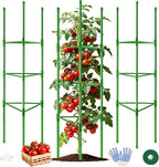 WAENLIR 3-Pack Tomato Cage for Garden, Plant Stakes for Pots, Durable Tomato by WAENLIR