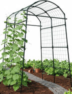Garden Trellis Arch 7FT PP-Coated Stainless Steel Metal Extra Tall Cucumber by GardenArchTrellisforPlants
