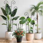 2 Pack 30 Inch Taller Plant Trellis - Image 2