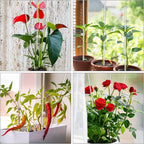 Plant Stakes, Plant Sticks 20PCS Acrylic Clear Plant Support Stakes, 18 Inches - Image 6