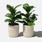Veradek Demi Series Demi 6" Planter w/Tray - Image 6