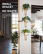 Bamworld Wall Plant Holder Wall Planters - Image 4