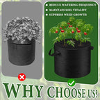 3 Pack 10 Gallon Grow Bags - Image 4