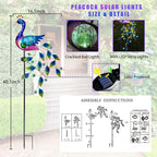 DREAMSOUL Peacock Solar Garden Lights Outdoor Decorative Stake, Waterproof - Image 6
