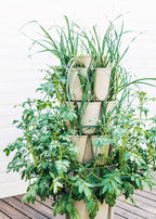 Greenstalk Patented Large 5 Tier Vertical Garden Planter - Image 9