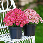 AGIRL 24 Bundles Artificial Flowers - Image 6