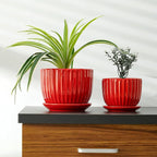 Ton Sin Ceramic Plant Pots - Image 6