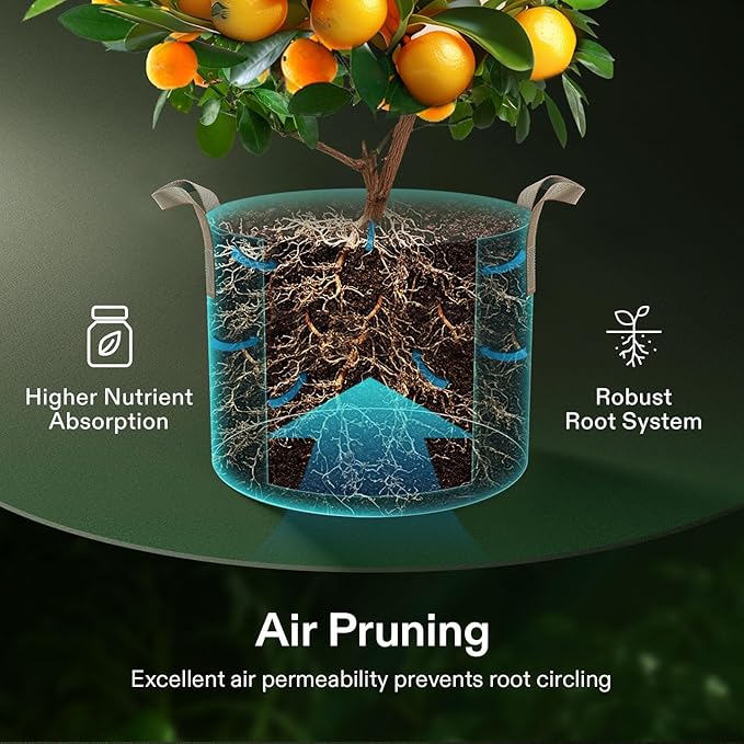 VIVOSUN 5-Pack 10 Gallons Grow Bags Heavy Duty Thickened Nonwoven Fabric Pots - Image 4