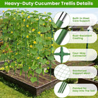 65in Tall Cucumber Trellis for Raised Bed, U-Shape Vegetables Trellis Support - Image 2