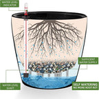 Dexceder 13x12 Self Watering Planter - Image 2
