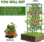 3 Pack Tomato Cages, Square Tomato Plant Stakes Support Cages Trellis - Image 3