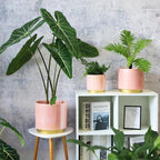 Gepege Pink Indoor Plant Pots for Plants, Large Ceramic Planter - Image 7