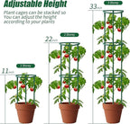 Uzoli 12 Pack Plant Support Stakes Sets - Image 5