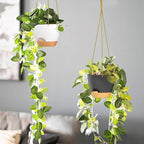 ZMTECH 6.5 Inch Hanging Planters - Image 3