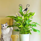 23in Plant Trellis Indoor, Trellis - Image 9