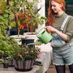 Quarut 6 inch Brown Barrel Planters - Image 6