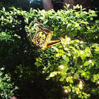Solar Watering Can Lights, Outdoor Garden Decor, LED Waterproof String Light - Image 8