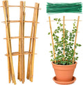 Bamboo Trellis by Sawowkuya
