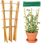 Bamboo Trellis by Sawowkuya