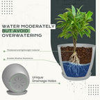 Utopia Home - Plant Pots Indoor - 7/6.6/6/5.3/4.8 Inches Home Decor Flower Pots - Image 4