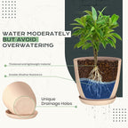 Utopia Home - Plant Pots Indoor - 7/6.6/6/5.3/4.8 Inches Home Decor Flower Pots - Image 3