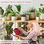 Watering Can Indoor Plants, 35oz Small Stainless Steel Metal Watering Can - Image 5