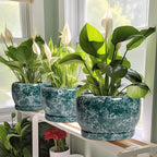SQOWL Ceramic Pot for Plants - Image 5